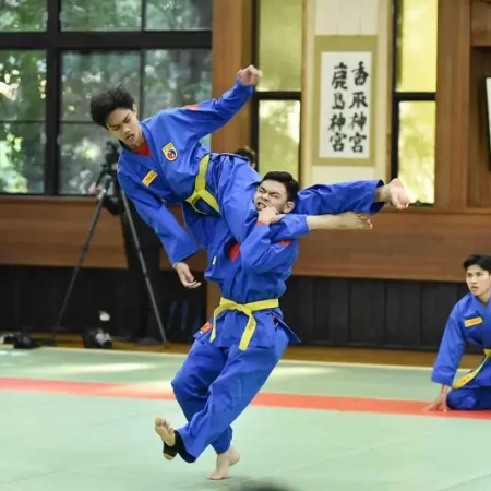 Vovinam là gì cùng tìm hiểu về loại hình võ thuật Việt Nam